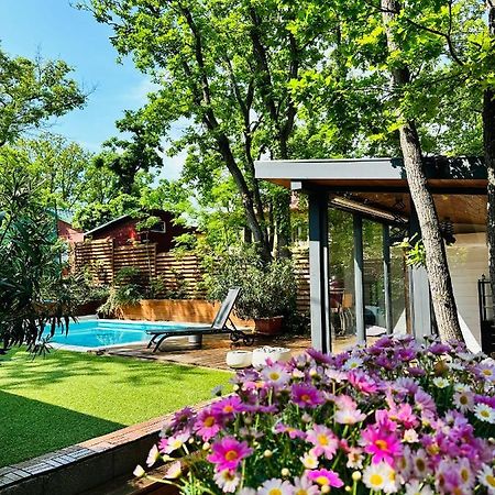 Balatonalmádi Pine-Wood Resort מראה חיצוני תמונה