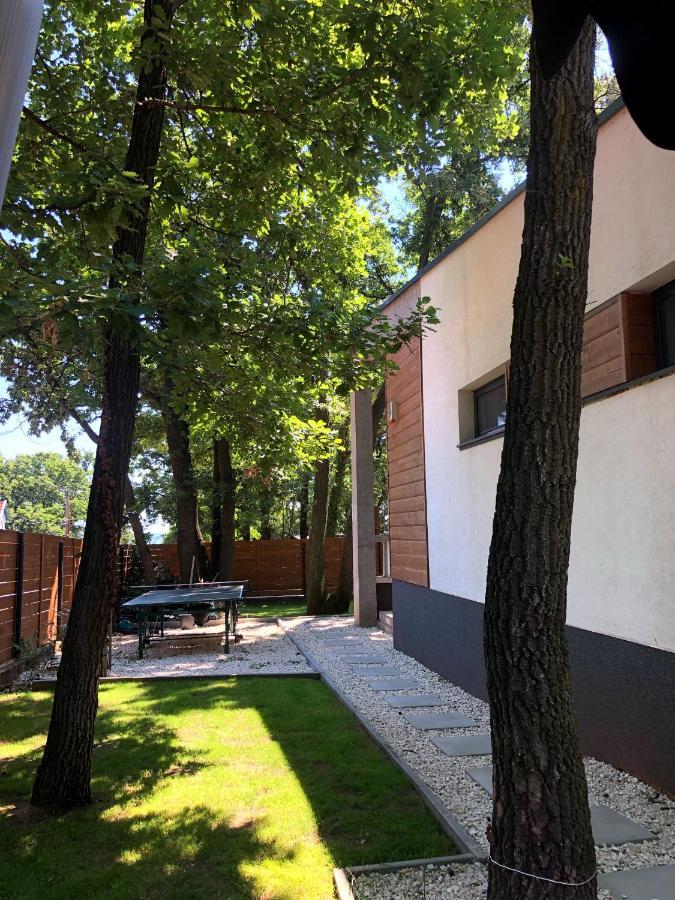 Balatonalmádi Pine-Wood Resort מראה חיצוני תמונה